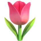 tulip για την πλατφόρμα Apple