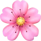 Appleプラットフォームのcherry blossom