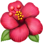 Apple প্ল্যাটফর্মে জন্য hibiscus