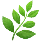 Apple প্ল্যাটফর্মে জন্য herb
