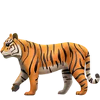 tiger for Apple platform