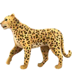 leopard for Apple-plattformen