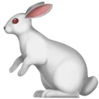 rabbit för Apple-plattform