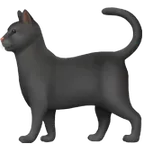 black cat för Apple-plattform