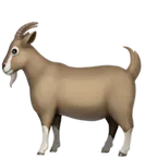Apple प्लेटफ़ॉर्म के लिए goat