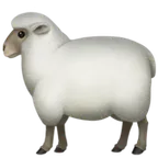 ewe for Apple platform