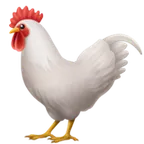 Apple प्लेटफ़ॉर्म के लिए rooster