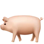 Apple dla platformy pig