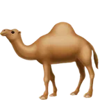 camel alustalla Apple