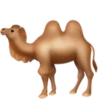 Apple platformon a(z) two-hump camel képe