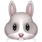 rabbit face for Apple-plattformen