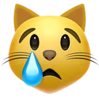 crying cat alustalla Apple