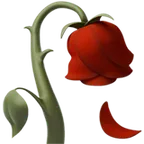 Appleプラットフォームのwilted flower