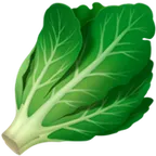 Apple प्लेटफ़ॉर्म के लिए leafy green