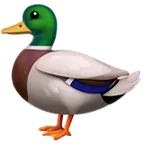 duck for Apple platform