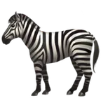 zebra alustalla Apple