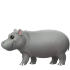 hippopotamus voor Apple platform