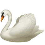 swan untuk platform Apple