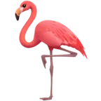 flamingo para la plataforma Apple