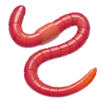 worm για την πλατφόρμα Apple