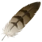 Apple প্ল্যাটফর্মে জন্য feather