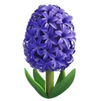 hyacinth for Apple-plattformen