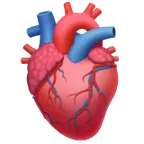 Apple প্ল্যাটফর্মে জন্য anatomical heart