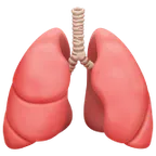 lungs untuk platform Apple