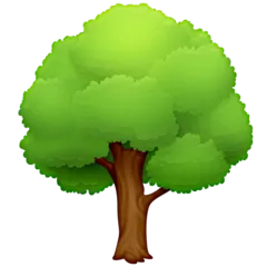 Facebook প্ল্যাটফর্মে জন্য deciduous tree