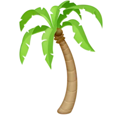 palm tree สำหรับแพลตฟอร์ม Facebook