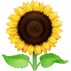 sunflower untuk platform Facebook