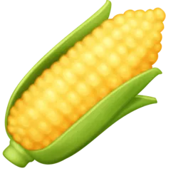 Facebook 플랫폼을 위한 ear of corn