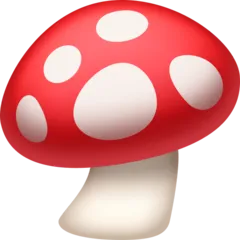 mushroom لمنصة Facebook