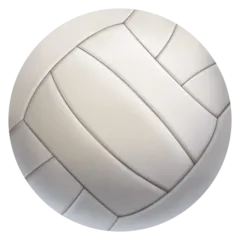 Facebook 平台中的 volleyball