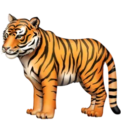 Facebook dla platformy tiger