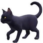 black cat för Facebook-plattform