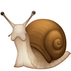 Facebook 平台中的 snail