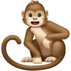 Facebook platformu için monkey