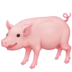 Facebook dla platformy pig