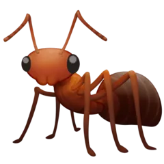 ant for Facebook platform