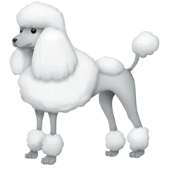 Facebook cho nền tảng poodle