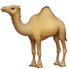 Facebook 平台中的 camel