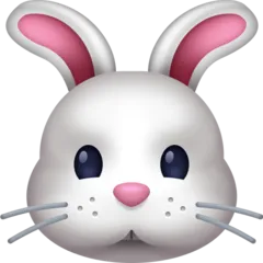 rabbit face untuk platform Facebook