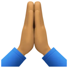 folded hands: medium skin tone pentru platforma Facebook