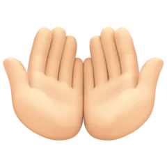 palms up together: light skin tone per la piattaforma Facebook
