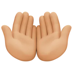 palms up together: medium-light skin tone untuk platform Facebook