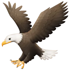 Facebook প্ল্যাটফর্মে জন্য eagle