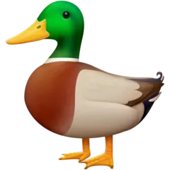 duck for Facebook platform