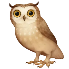 owl voor Facebook platform