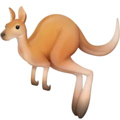 Facebook প্ল্যাটফর্মে জন্য kangaroo
